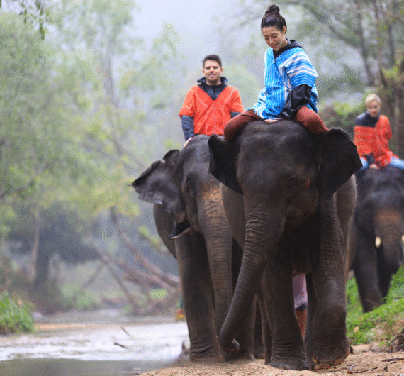 elephant-owner-for-day-6